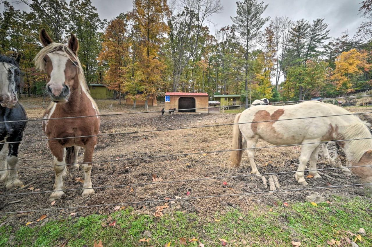 John Wayne Apartment - Deck, Bbq, Horses On-Site Хантингдон Экстерьер фото